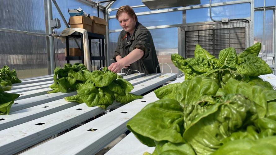 Carroll County Hydroponic Farm