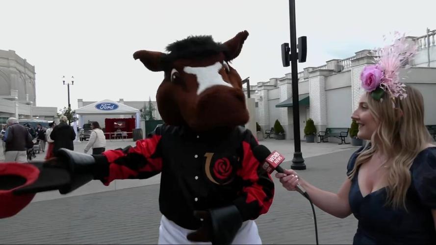 Churchill Charlie gets Derby ready
