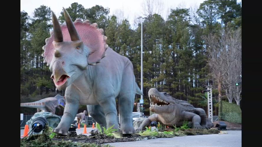 Dino Safari dinosaurs.jpeg