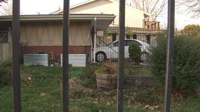 Car Behind Fence