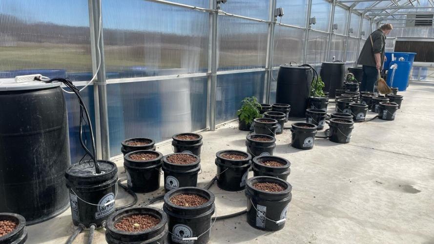 Carroll County Hydroponic Farm