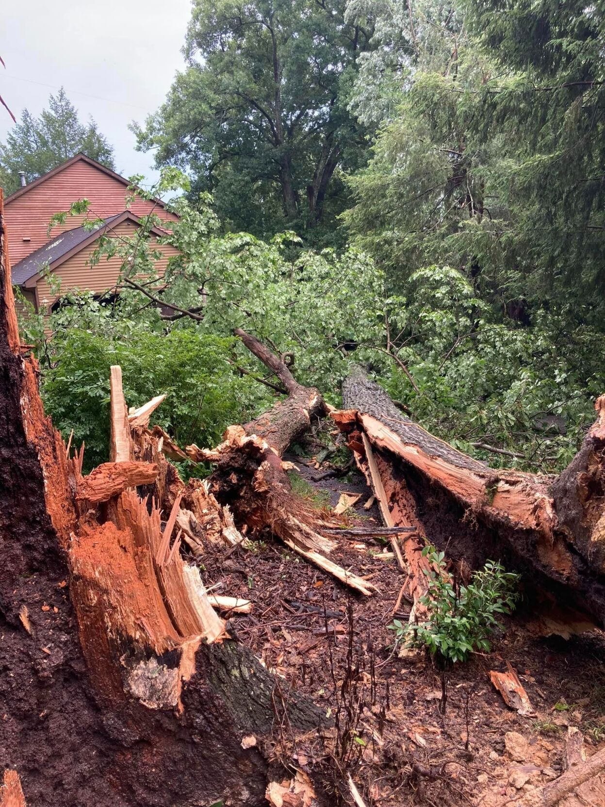 Harrison County storm damage 3.jpg