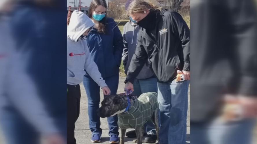 Family reunited with Ethan the dog (3/02/21)