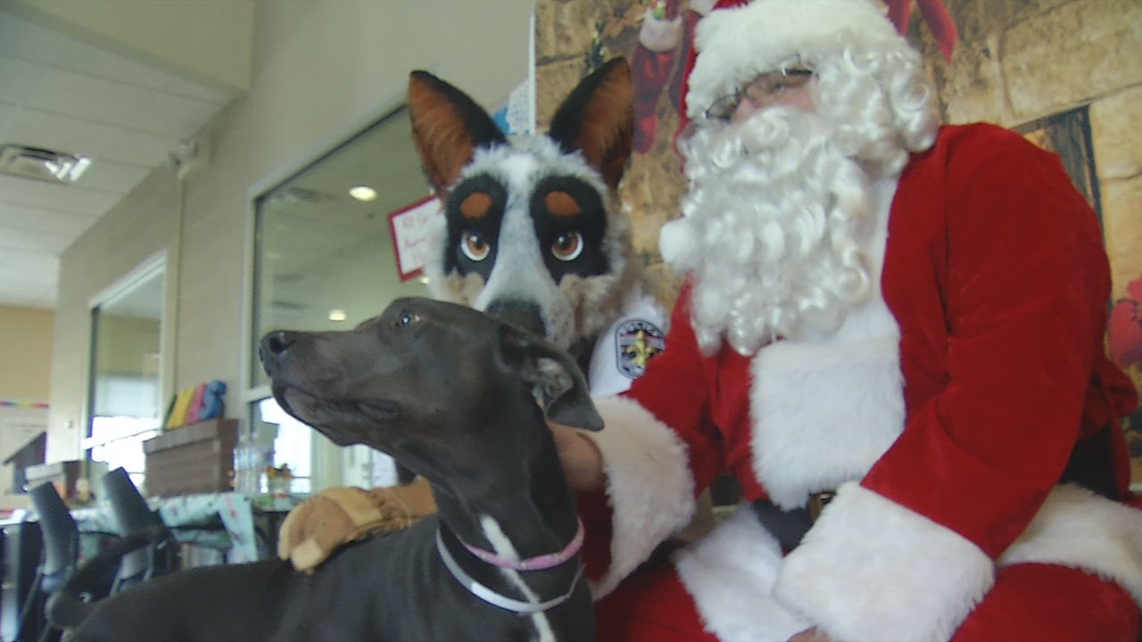 Kentucky Humane Society hosting Picture Your Pets with Santa at