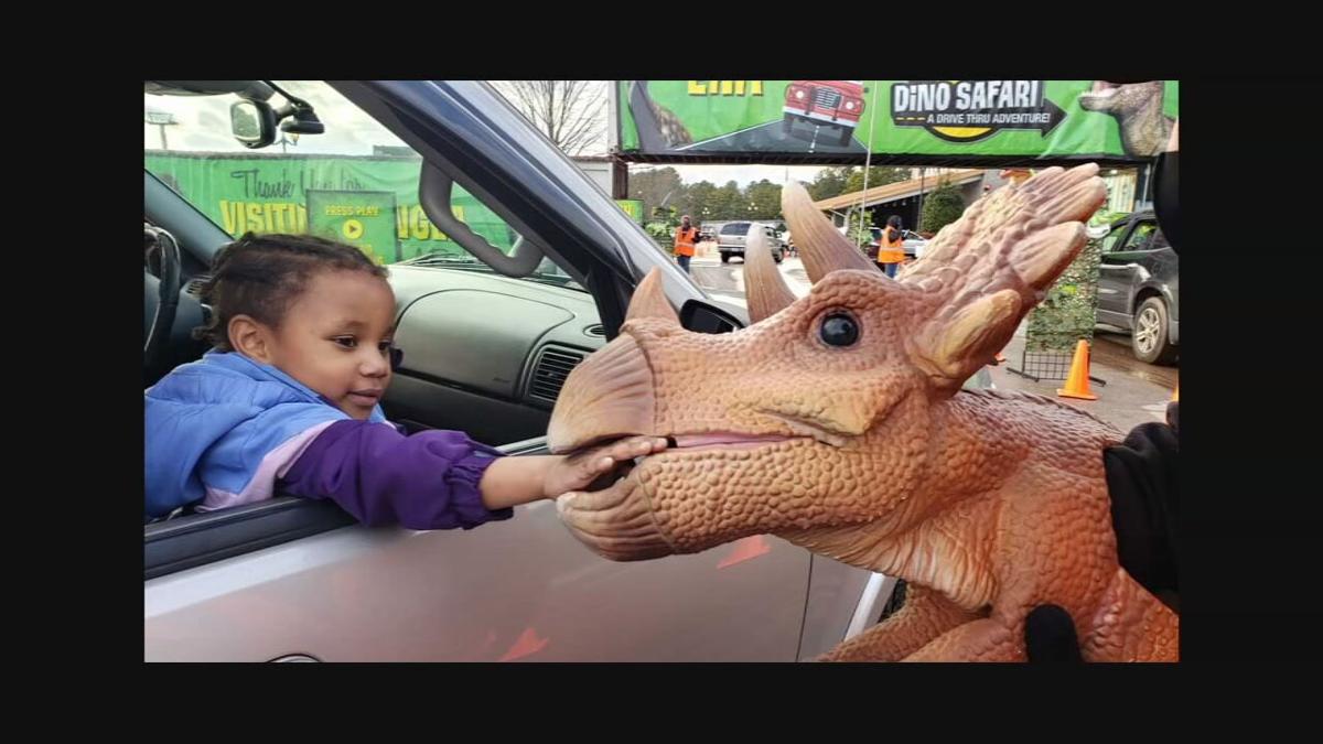 Dino Safari 1 Jpeg Wdrb Com