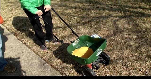Applying pre-emergent now will have your grass looking great ...