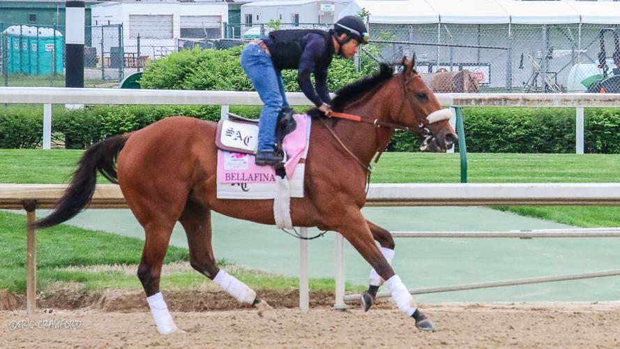 Training - Bellafina