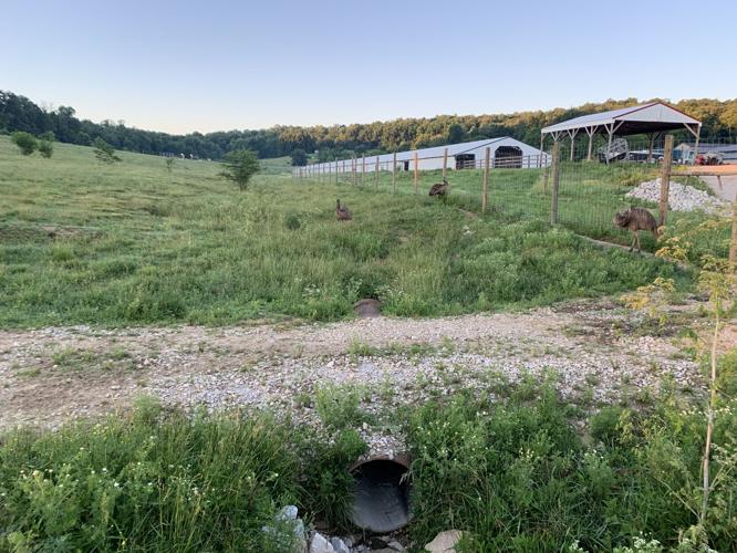 Wilstem Wildlife Park (75).JPG