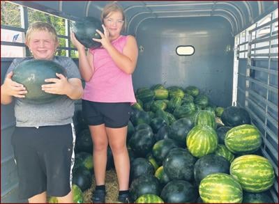 - Several varieties of watermelons fresh from the Missouri Bootheel