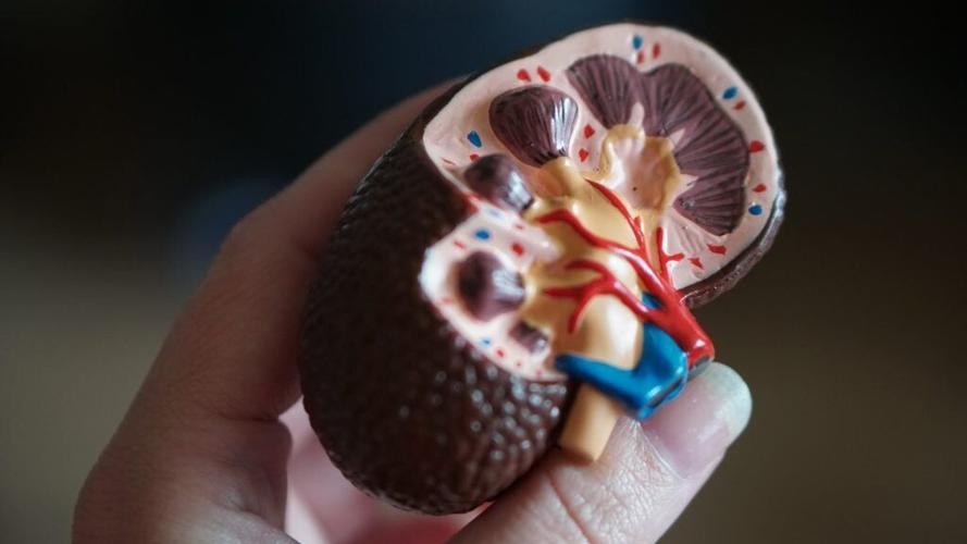 Man receives life-saving kidney donation from his best friend | Health ...