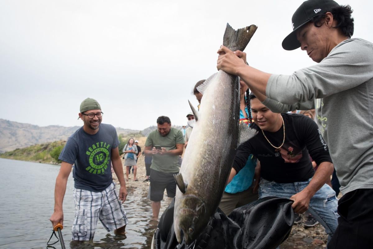Salmon spawning in Upper Columbia River for first time in more than 80