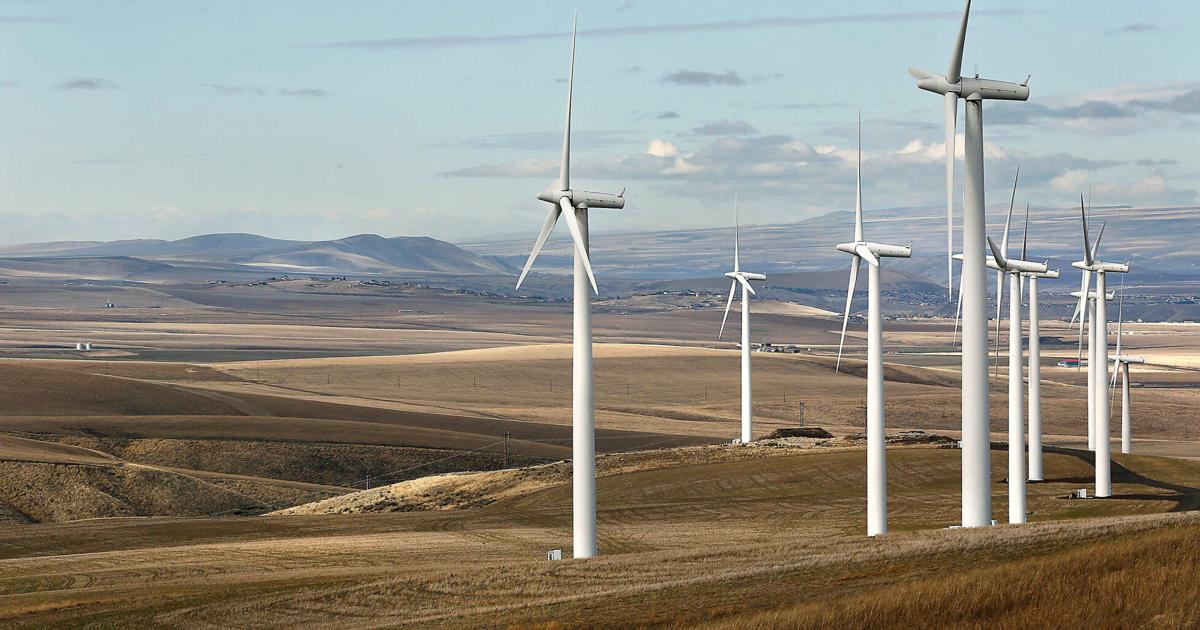 Hawk Wind Generator How an endangered hawk could topple plans for WA's largest wind farm ...