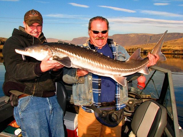 Outdoor Insider: Great time for sturgeon, Sports