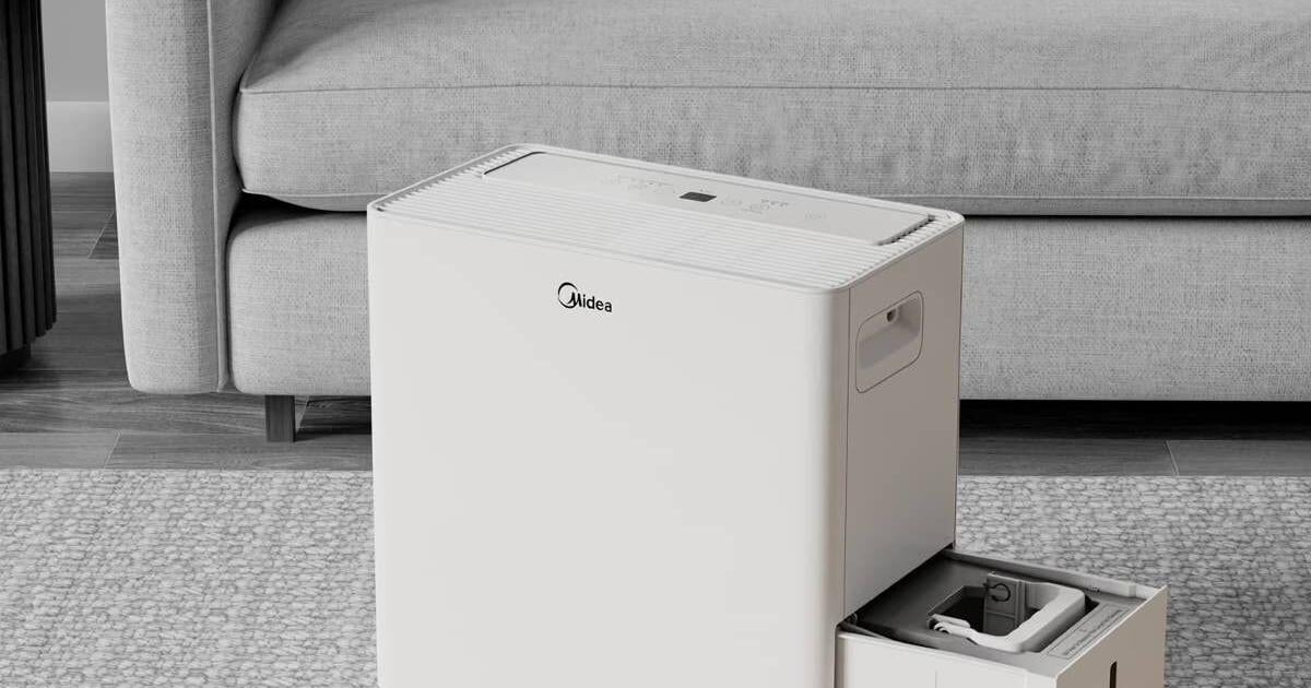 A dehumidifier is a summer investment that protects your home and health