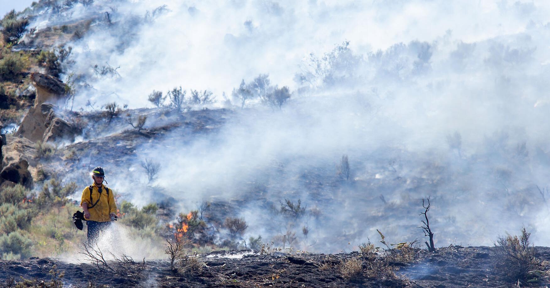 Wildfire Preparedness Day: Are you ready? - Vimarsana News