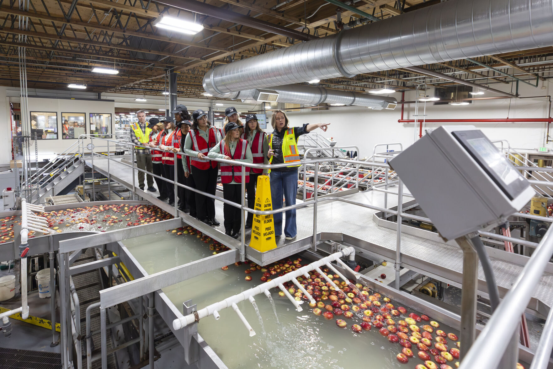 洋楽 EXPORTATIONS/MEET THE EXPORTATIONS From orchard to market: Columbia Fruit Packers demonstrates apple