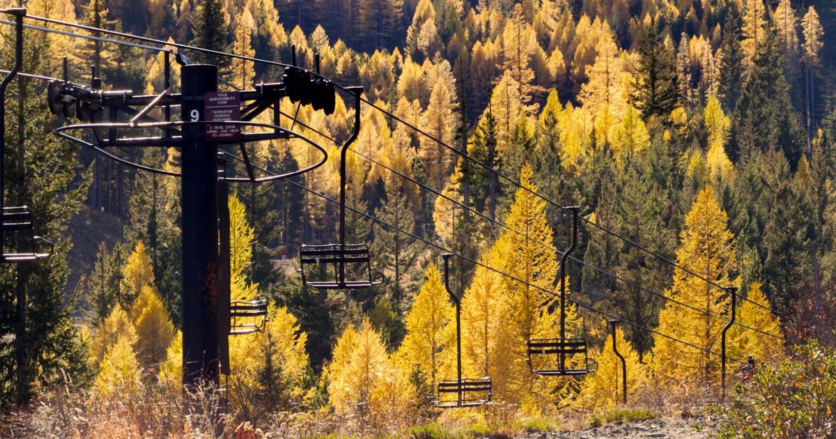 Twisp Color Looking for larches? We'll get you started | Here are 4 places for the ...