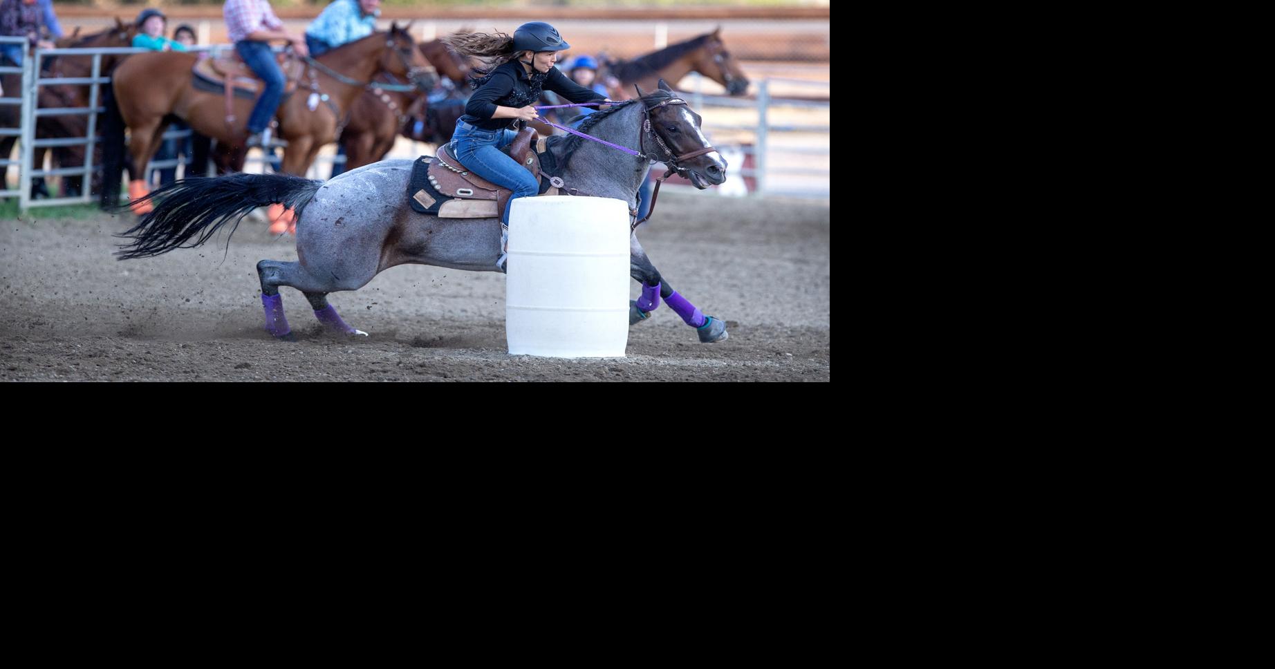 Horses and their riders compete for state News