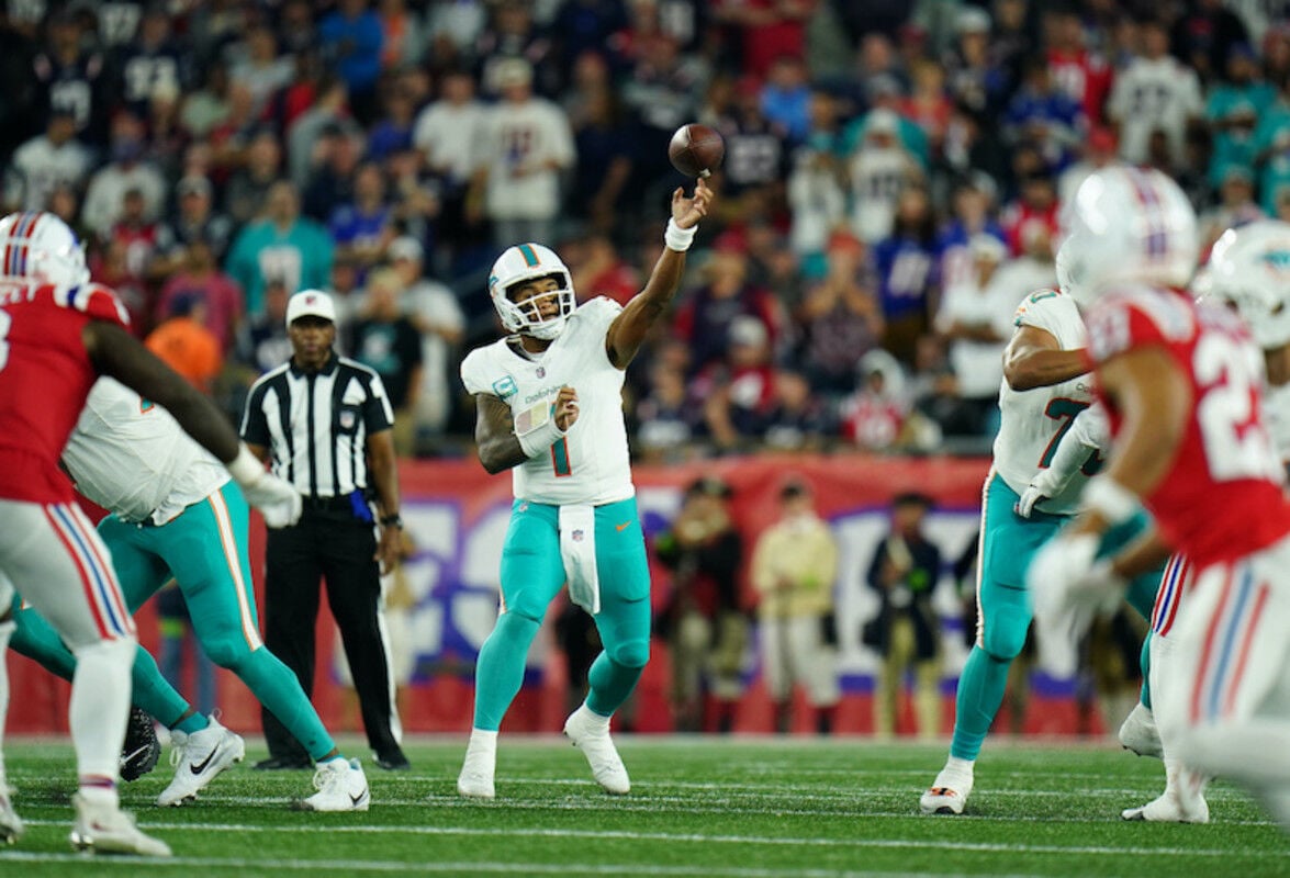 Photo gallery: Miami Dolphins vs. San Francisco 49ers, Sun., Nov. 27, 2016