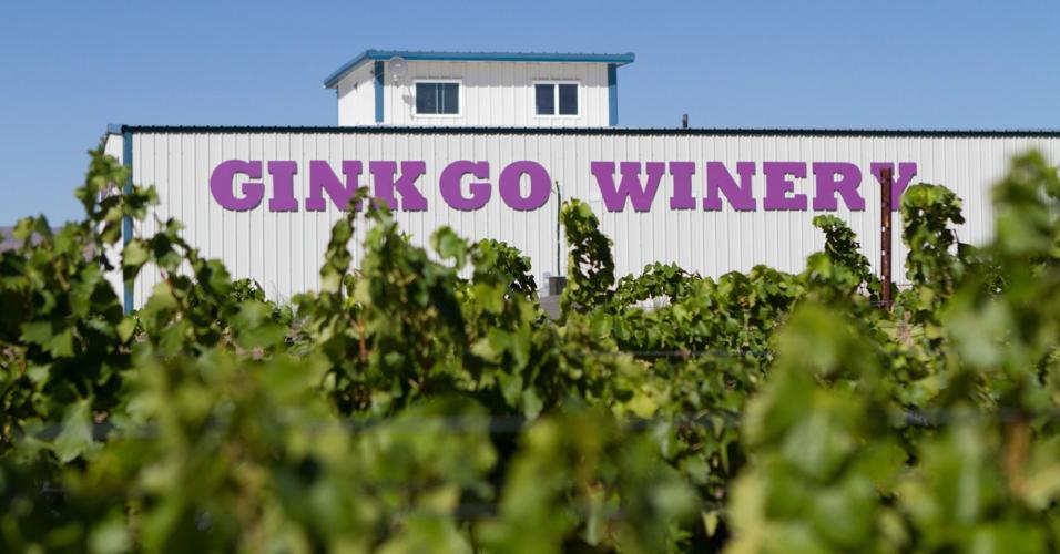 The backbone of Washington wines Business
