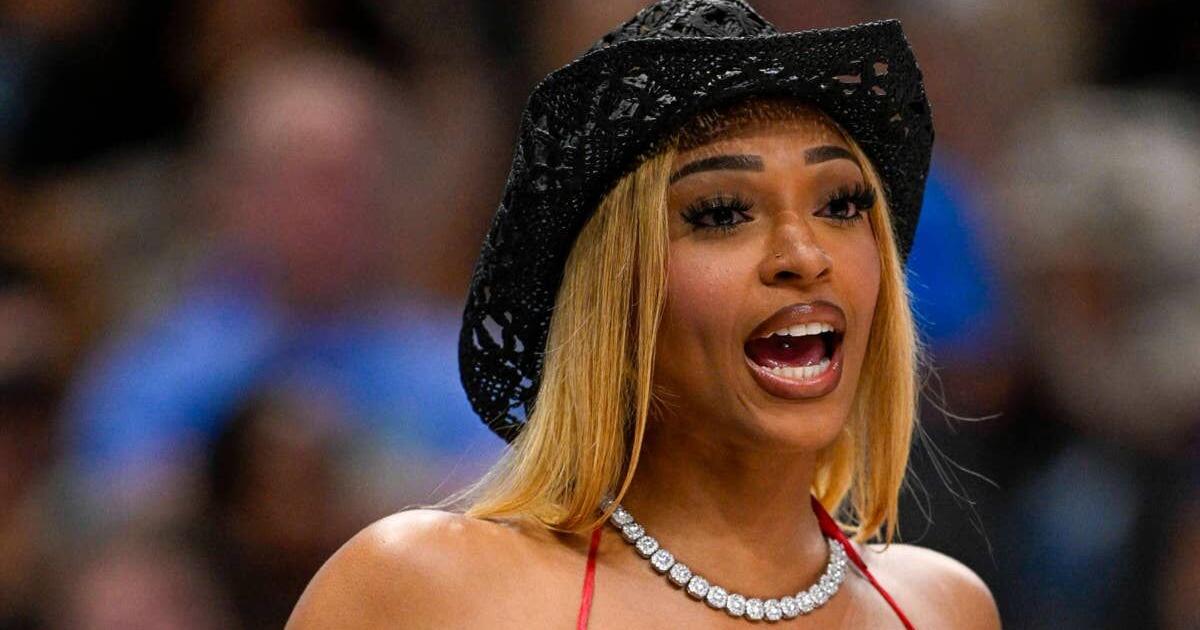 WNBA Star DiJonai Carrington Makes Opinion Clear After Team USA Game