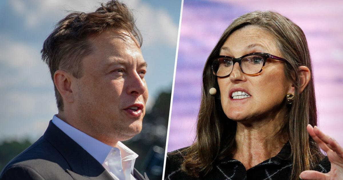 Cathie Wood says Elon Musk's latest big plan could increase its market '10-fold' - Vimarsana News