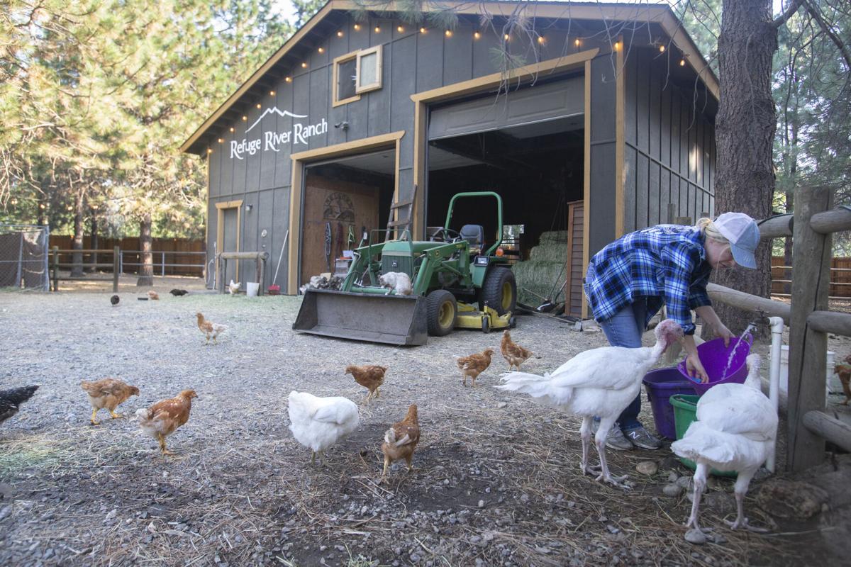 Local farms forced to reassess or shut down after updated agritourism
