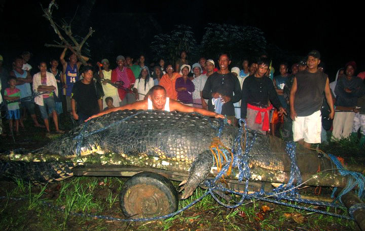 Crocodile Fishing..?, Some local boys in Belize bring out t…