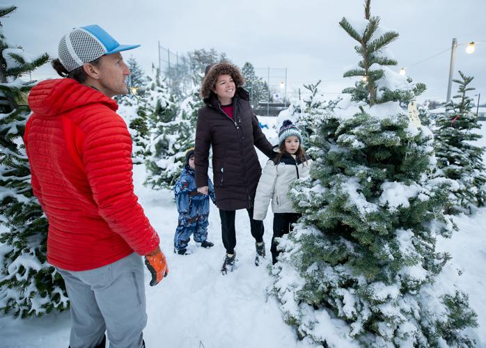 Photos Christmas trees under the snow Local News