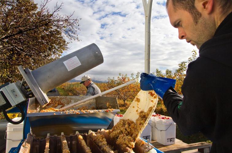 Hard cider Old orchard makes good Local News