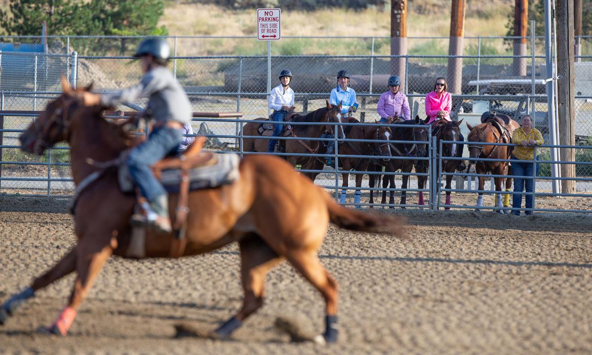 Horses and their riders compete for state News