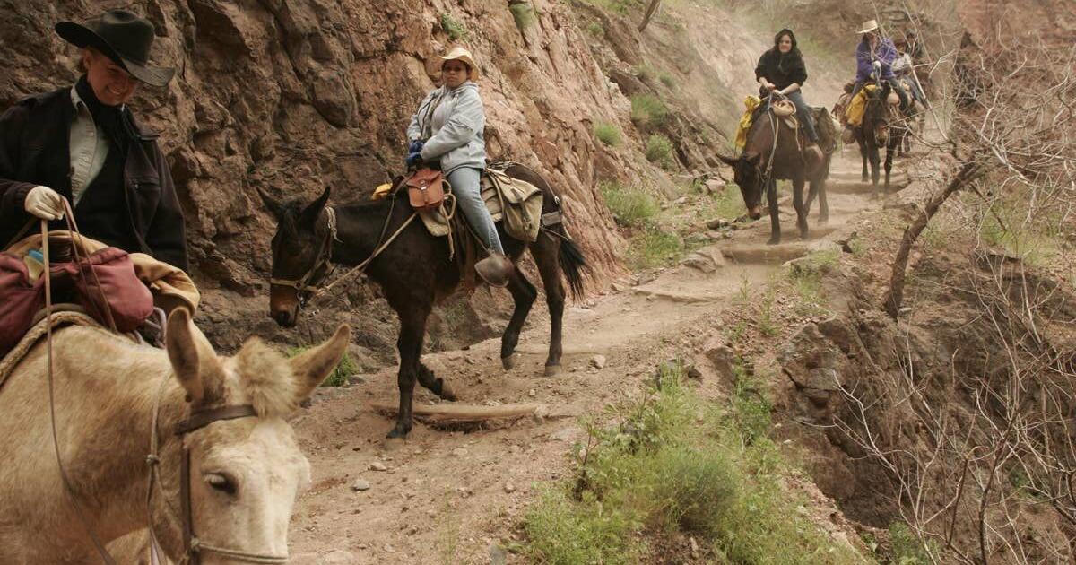Deadly Grand Canyon Flash Floods Ignite Frantic Search for 15 Missing Hikers & Backpackers