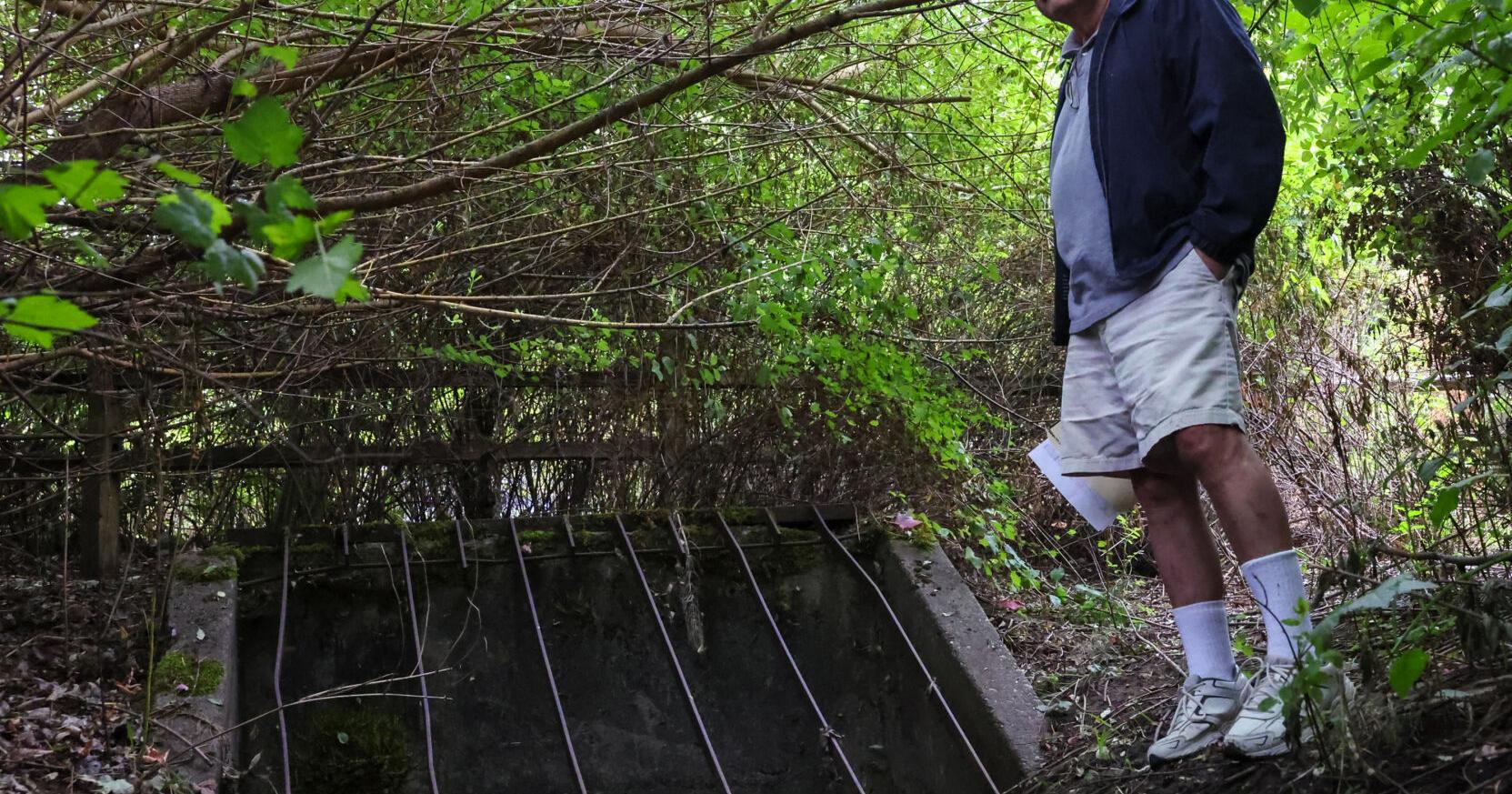Removing Washington salmon barriers surges to $1M a day, but results are murky - Vimarsana News