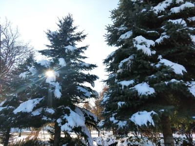Is it winter? | Empire Press | wenatcheeworld.com