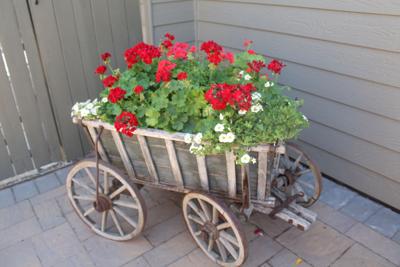 Salvaging a favorite planter