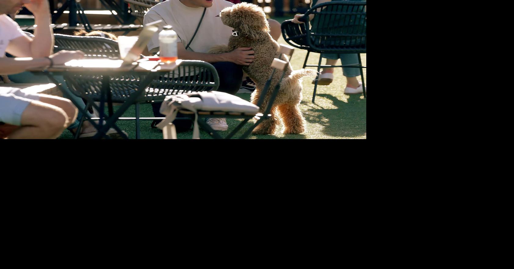 At this exclusive members-only club, you can poop anywhere, but no humping, please