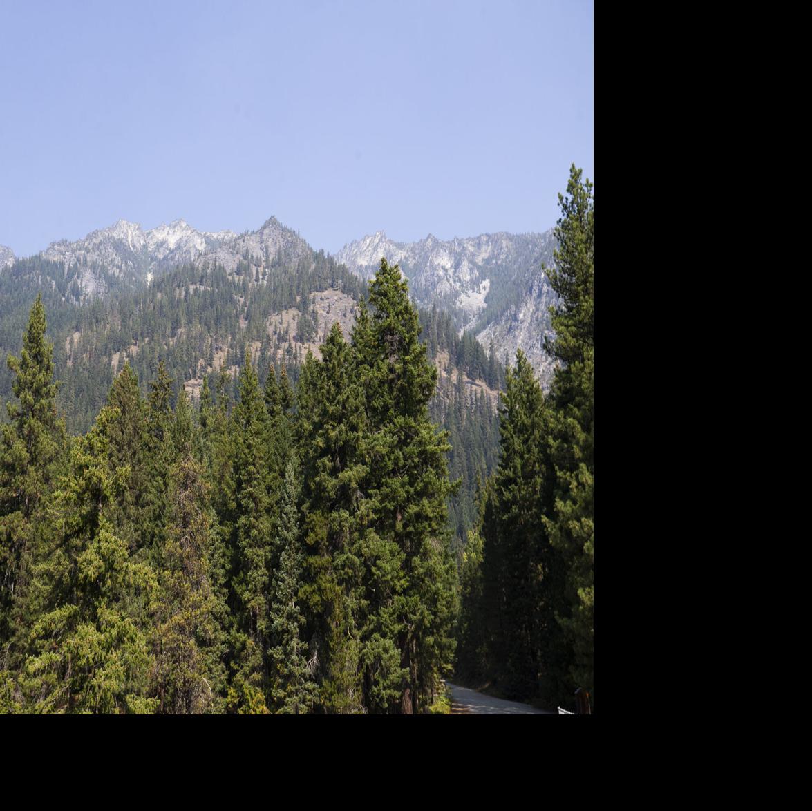 News wenatcheeworld com