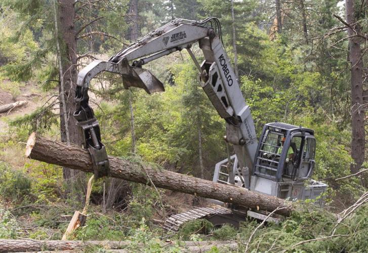 Logging near Cle Elum aims to protect forest land and communities from