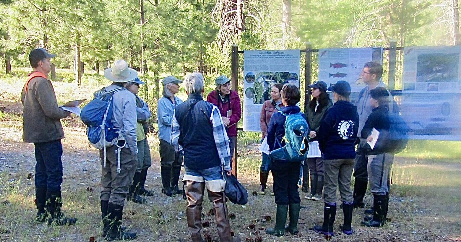 From Birds to eavers: Entiat watershed tour highlights restoration wins - Vimarsana News