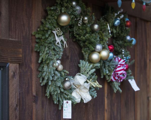 Hog Hollow Farm The place for Christmas tree huggers in the Entiat Valley Local News
