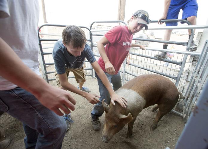 Waterville fair open through Sunday Local News