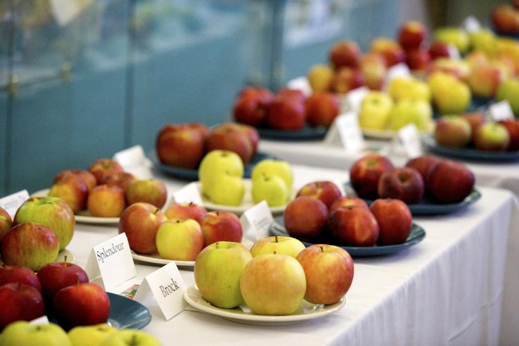 Label collectors hold history of fruit packing houses Local News