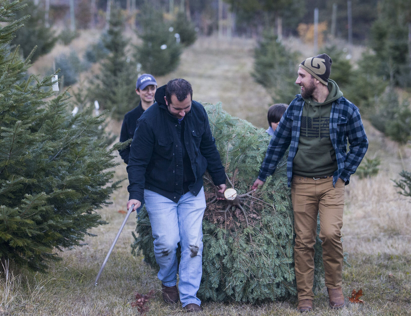 Hog Hollow Farm The place for Christmas tree huggers in the Entiat Valley Local News