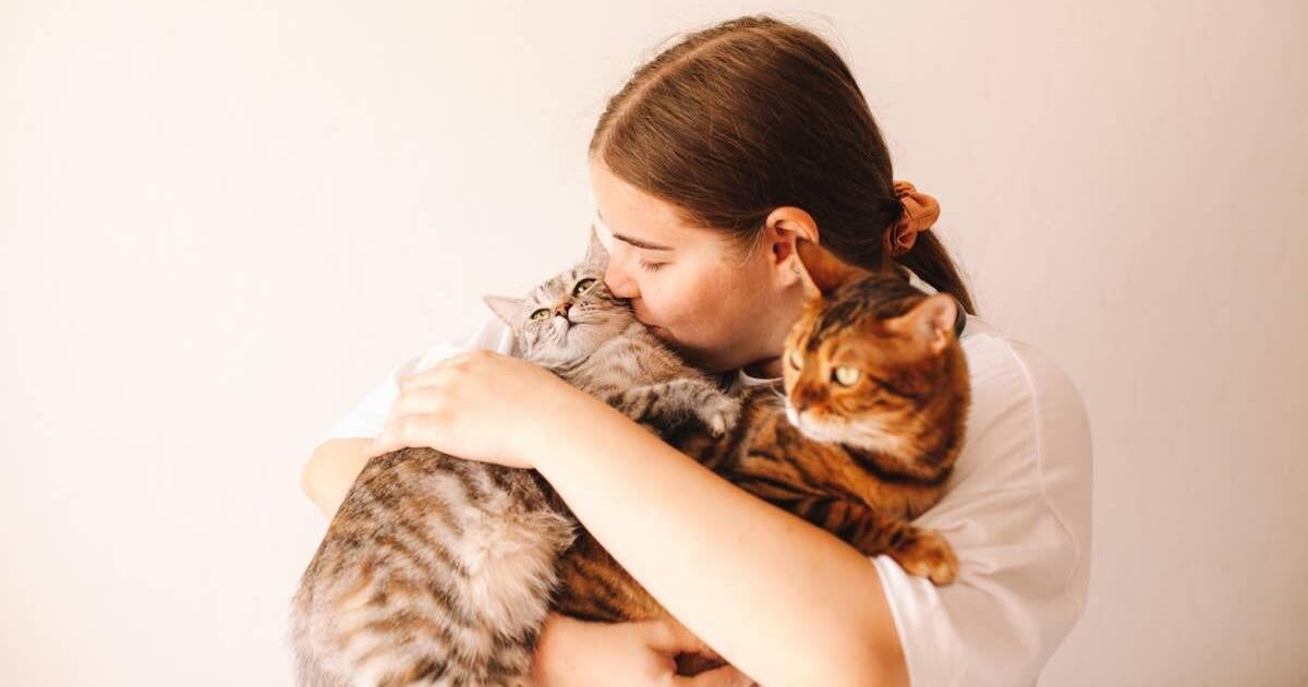 8 Psychological Benefits of Owning a Cat, According to a Psychologist