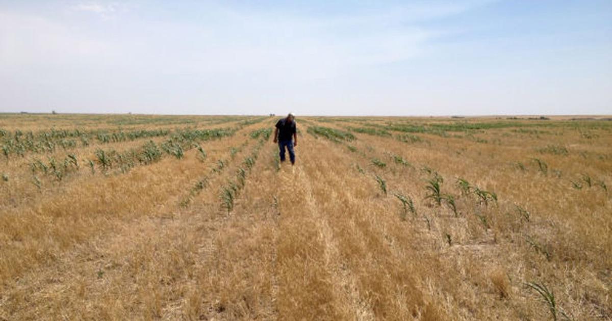 Hot, dry spring dries up Eastern Washington | News | wenatcheeworld.com