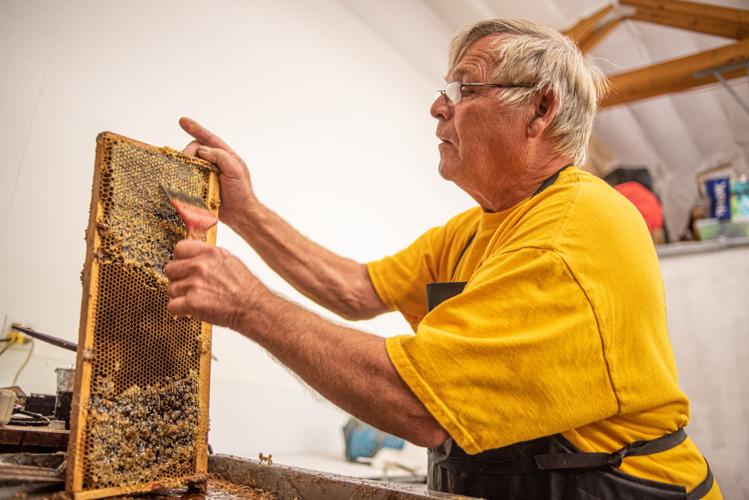 MADE LOCALLY McGregor Honey Looking beeyond the