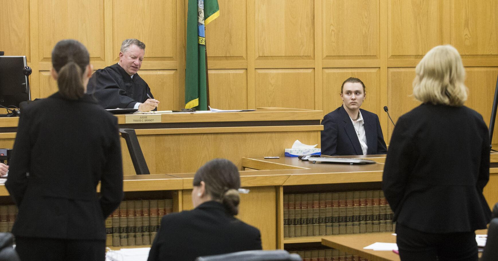 Cordelia Lear's will: Mock trial examines inheritance left to cat nonprofit - Vimarsana News