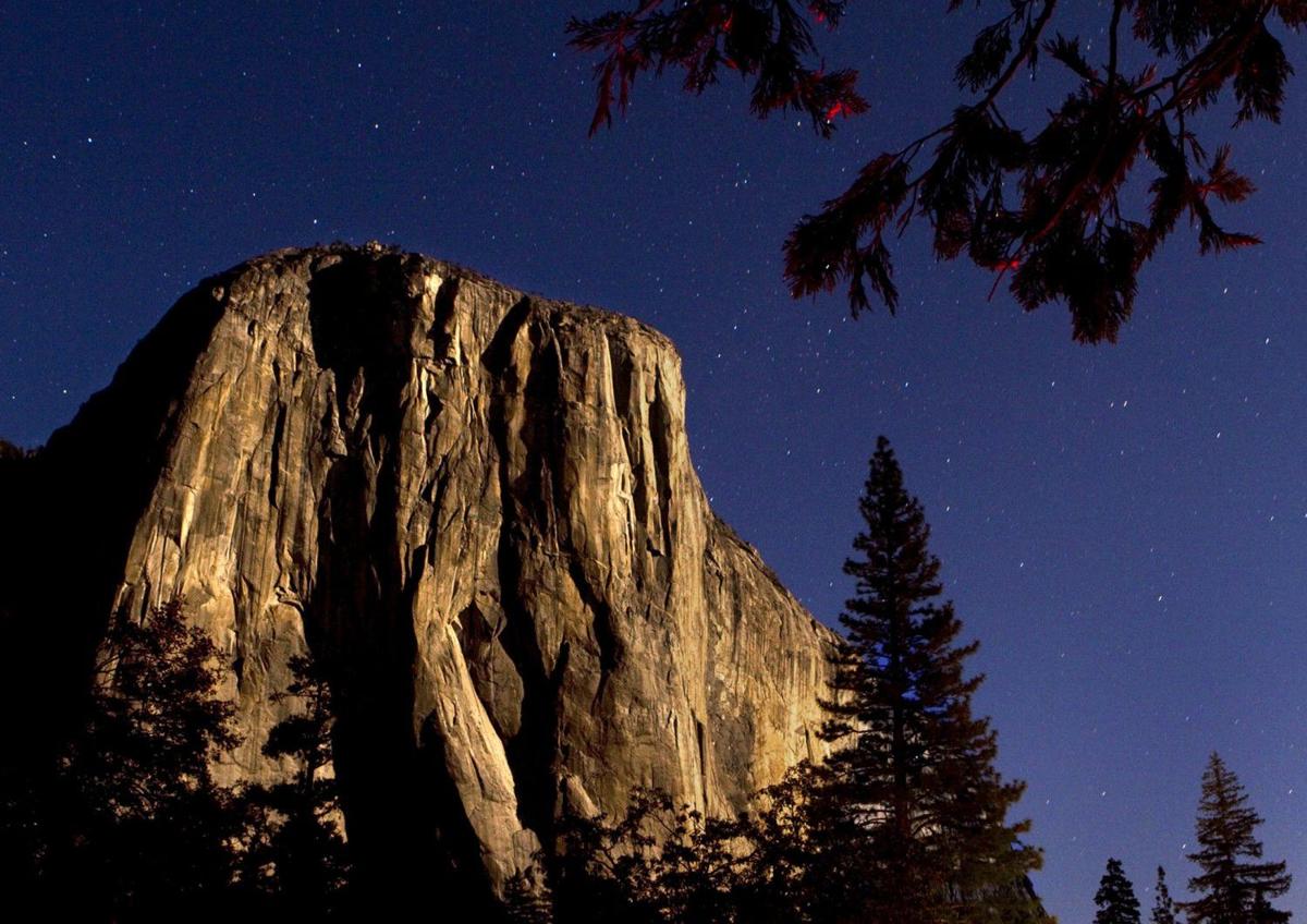 Wildlife is reclaiming Yosemite National Park: 'The bear population has ...