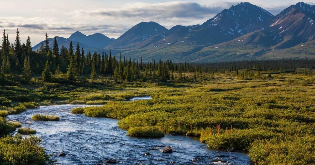 The National Park Service says reports that it ordered removal of American flags are 'false' - Vimarsana News