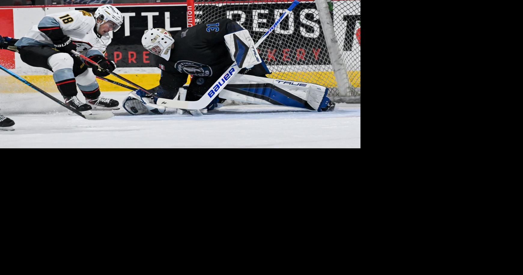 Tvrznik named to WHL's Second Team Western Conference All-Star list